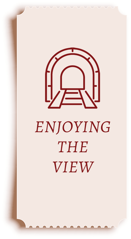 view ticket